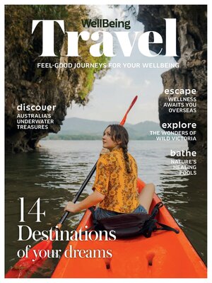 cover image of WellBeing Travel
